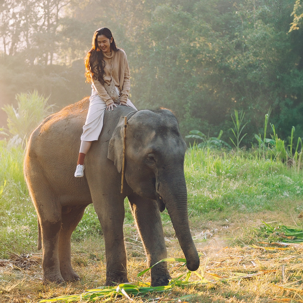 Woman Riding Elephant.webp