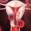 hormônios femininos, acompanhamento em Ginecologia