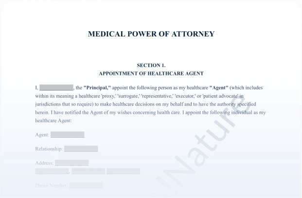 Medical Power of Attorney document preview