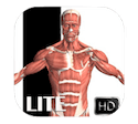 Visual Anatomy Lite App Icon, Best Free Apps for HCP's | eMedCert