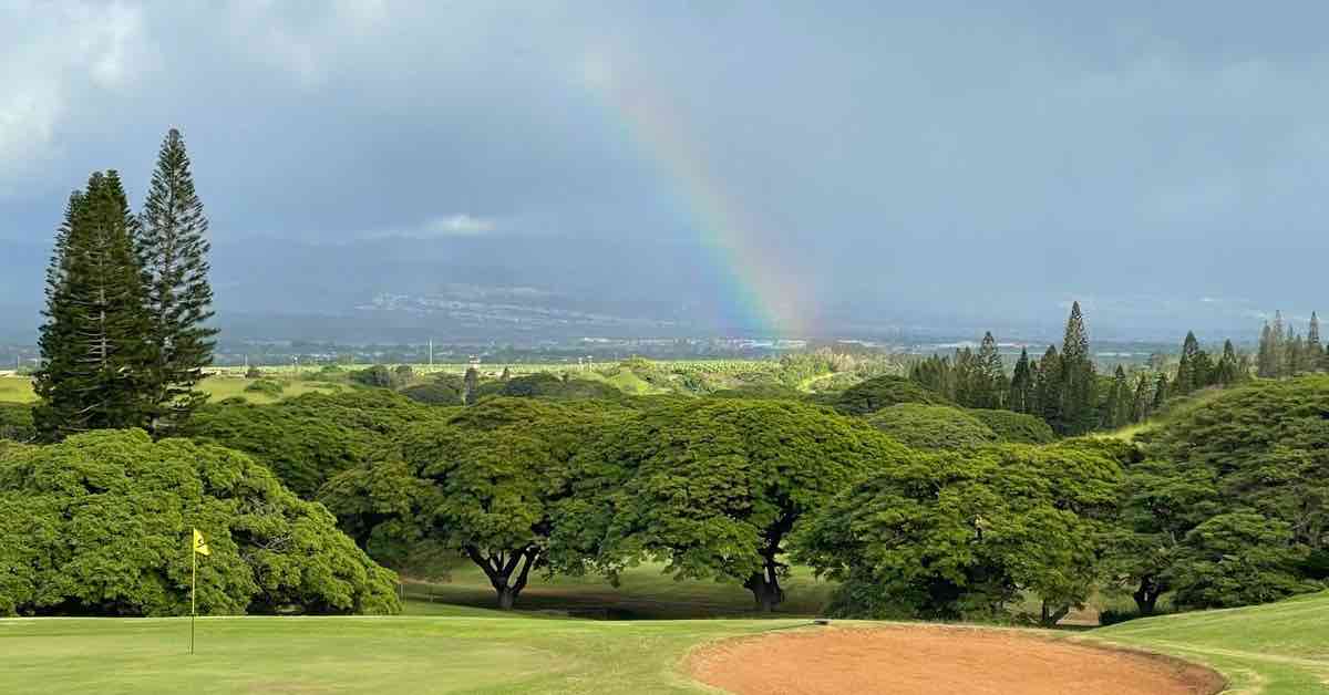 Extraordinary Disc Golf Courses HCC x ODG in Oahu, Hawaii Release