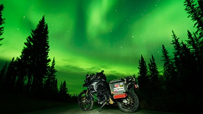NortherLightsChickenAlaska.JPG