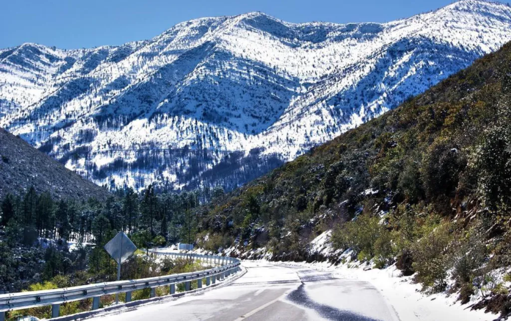 Arteaga, Coahuila&nbsp;