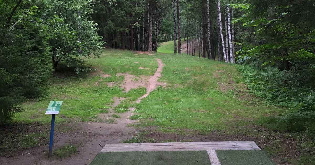 A tee pad leads to a tightly wooded fairway