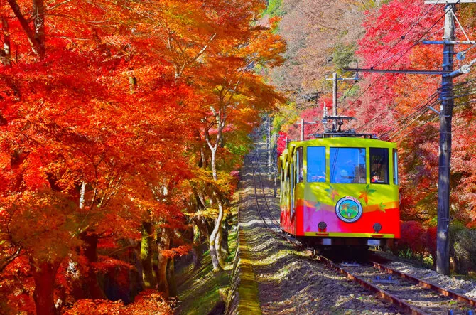 高尾山