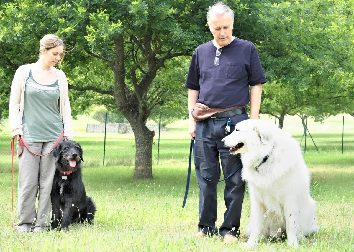 The Science of Canine Pack Mentality & Puppy Leadership