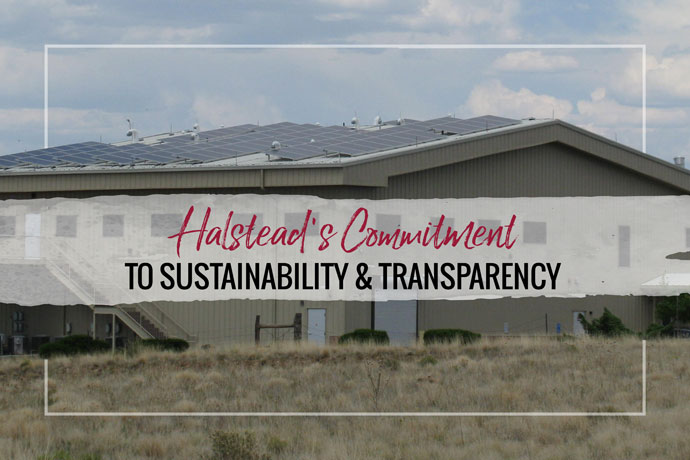 We're committed to increasing the sustainability of Halstead as a business and as a trusted jewelry supply company.