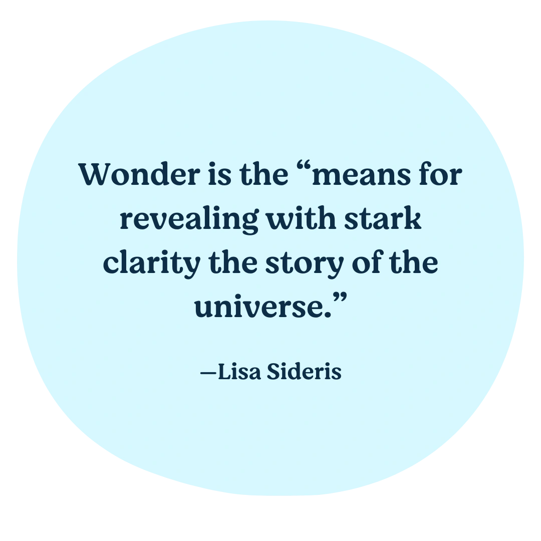 To wonder” – What does it mean?
