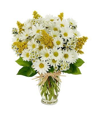 Daisy Delight Bouquet