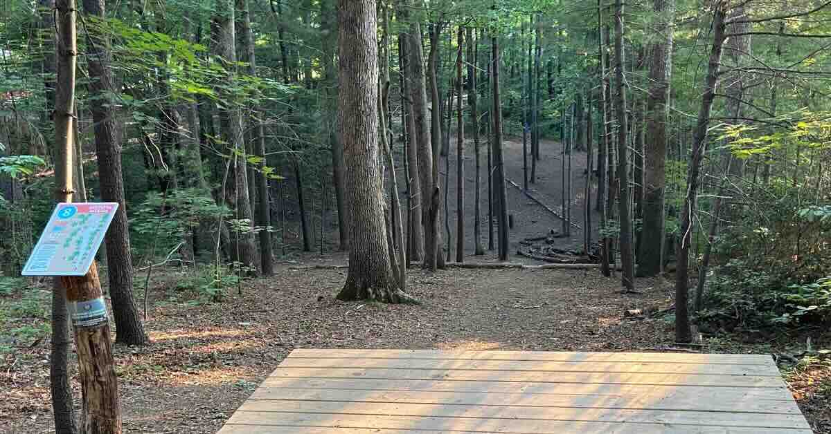 A wooden platform tee pad leads to a downhill, wooded fairway