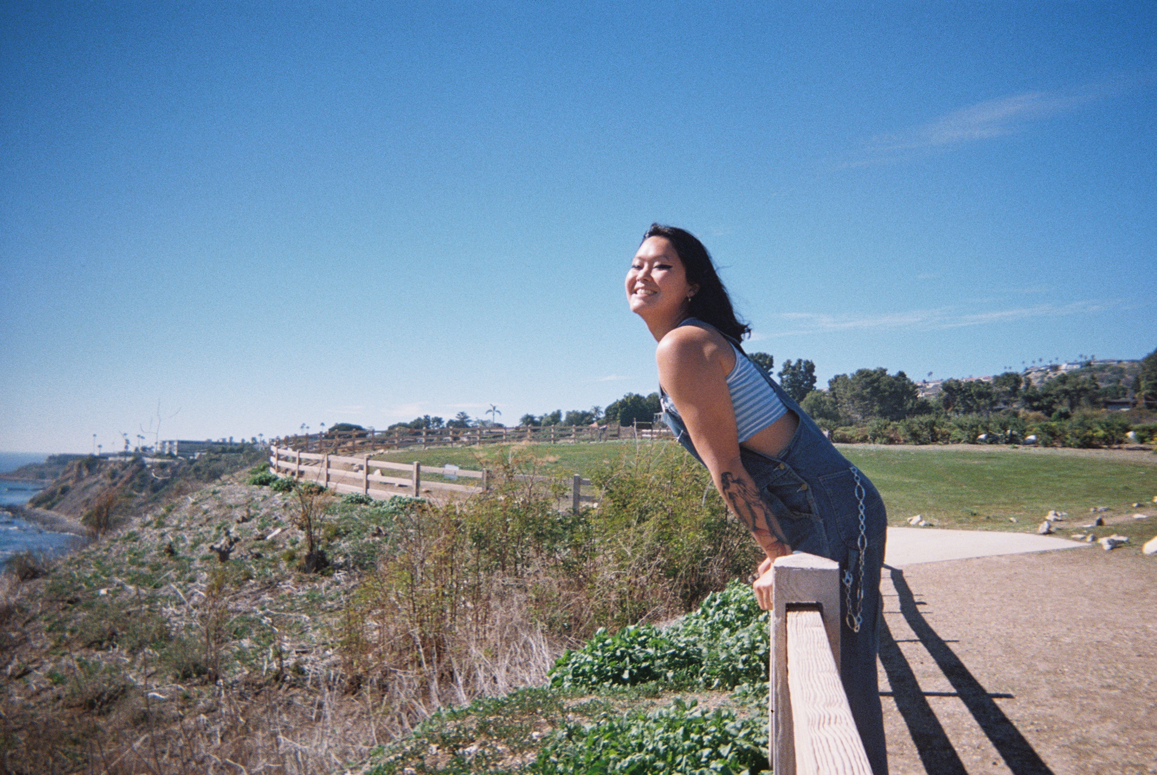 disposables6.jpg