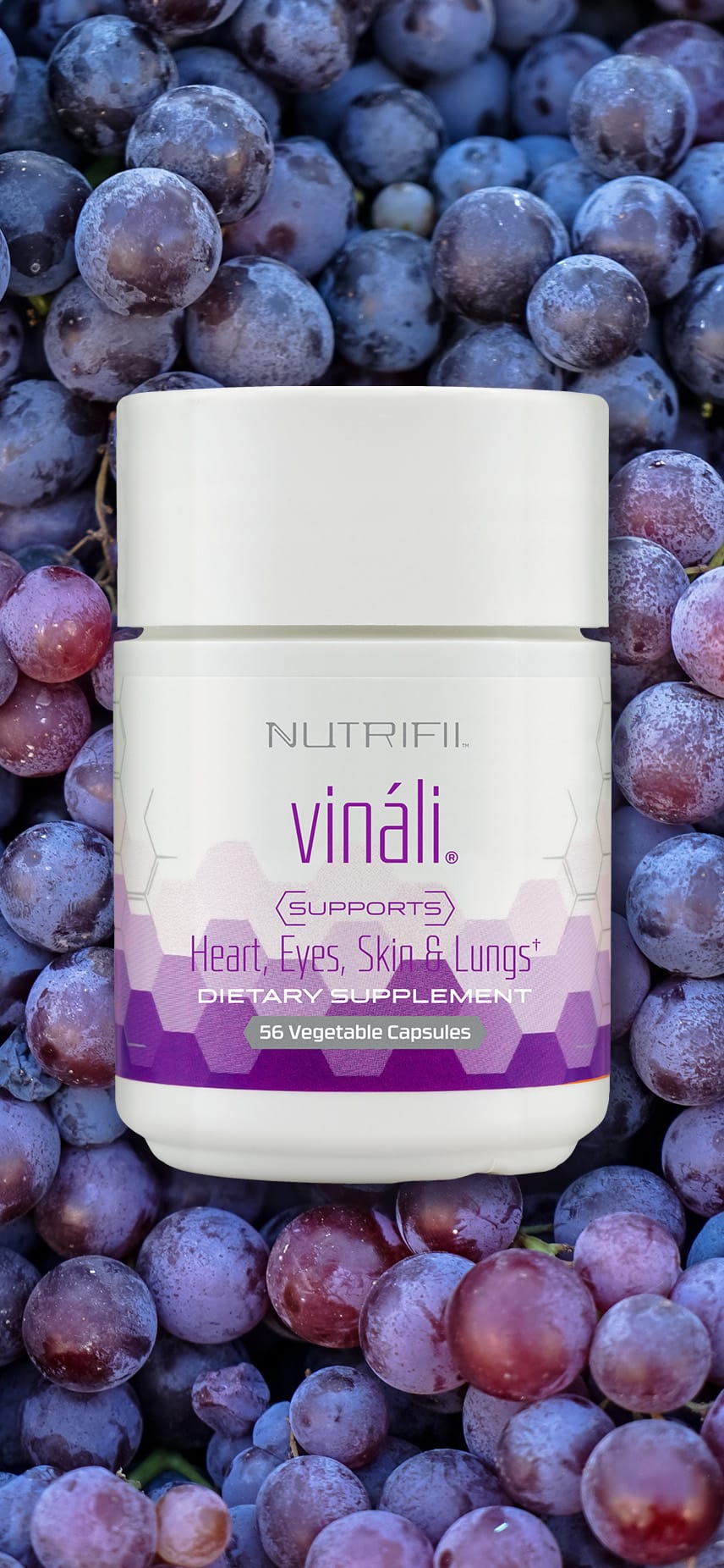 ビタミン ARIIX vinali Partner.Co | Vinali®