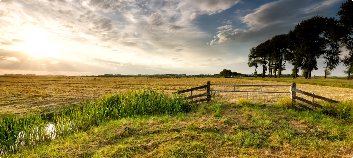 A view of an open field with a line of trees along the right side, a short three-section fence in the foreground, and the sun brightly shining through clouds