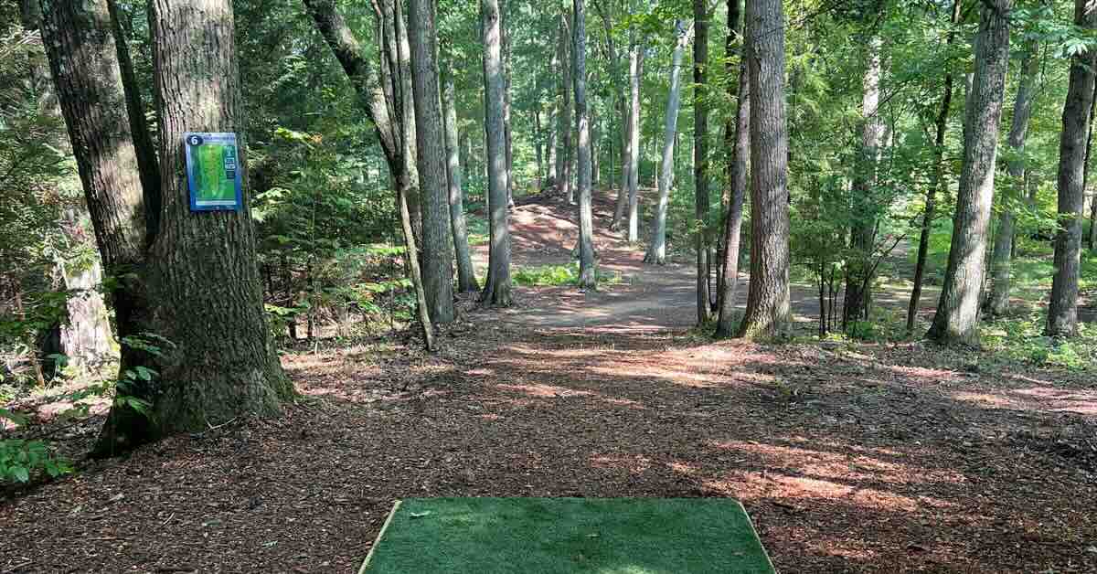 A turf disc golf tee pad leads to a tightly wooded fairway