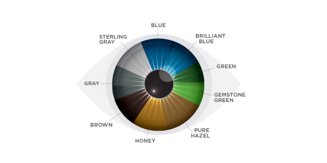 AirOptixColors_Blog_v1AM_thumb.jpg