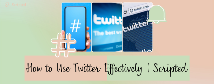 How to use Twitter Effectively | Scripted