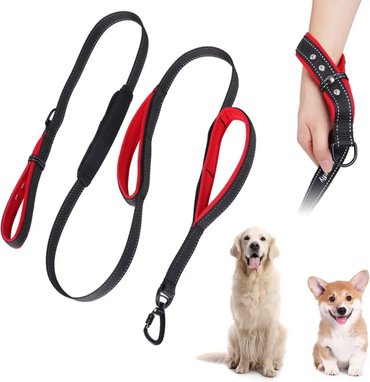 The 6 Best Leashes to Walk Your Puppy