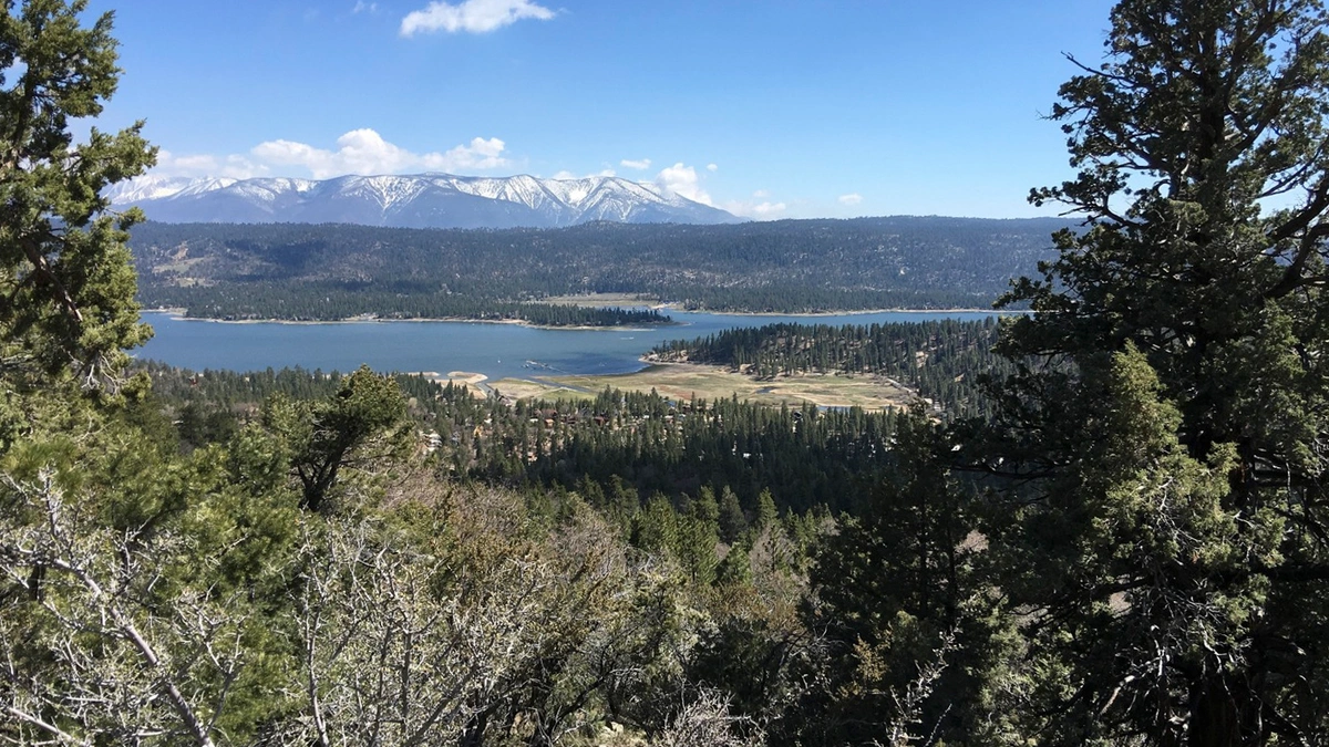 Experience Top Big Bear Off Road Trails