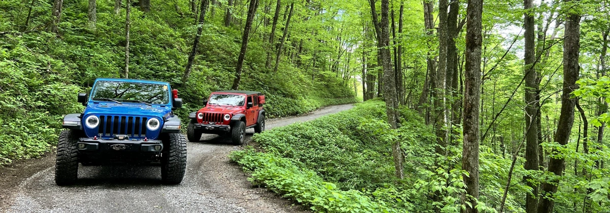 Great Smoky Mountains National Park