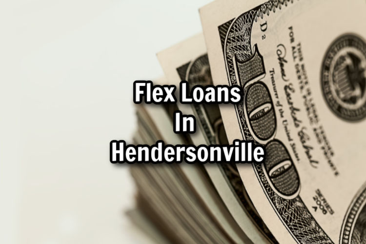 flex loan money