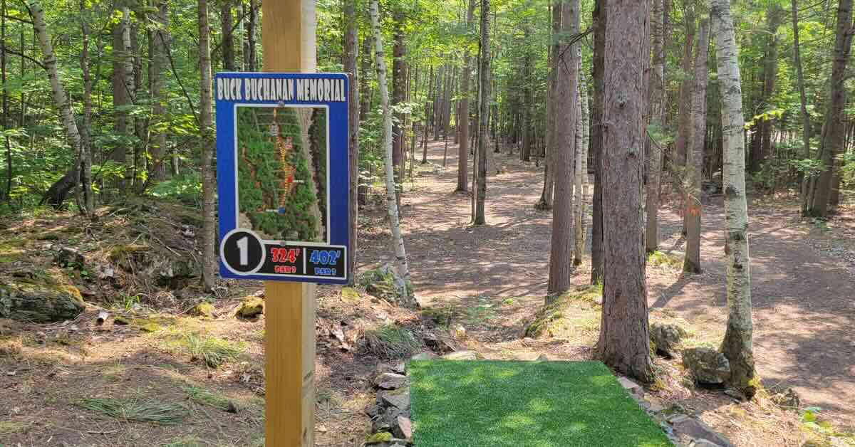 A dturf disc golf tee pad in a wooded area with blue tee sign for hole 1 in the foreground