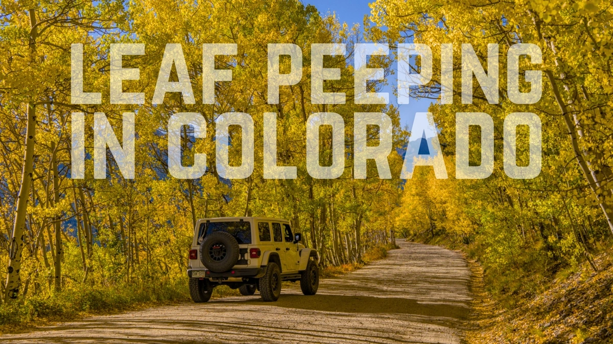 Colorado Leaf-Peeping: 8 Off-Road Trails to Chase Fall Colors Blog Photo