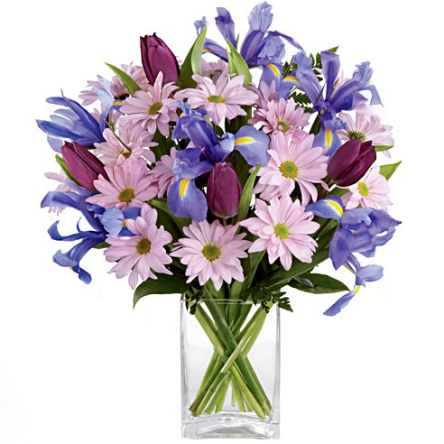 lavender daisy and iris purple tulip bouquet iris goddess answer