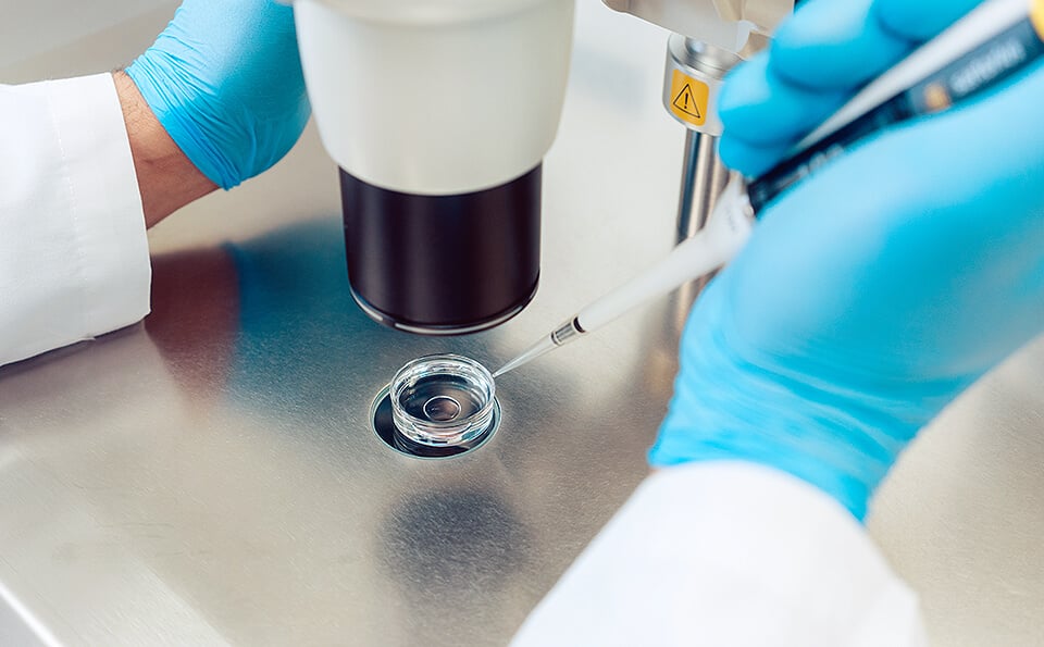 fertility specialists using a microscope and a micropipette