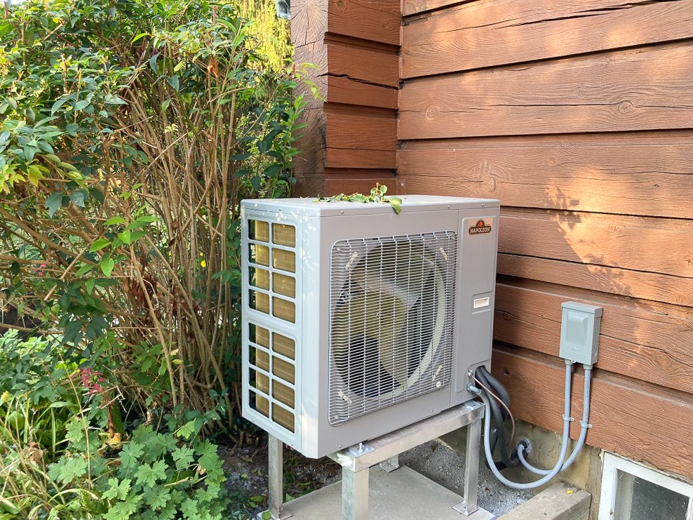 A heat pump nestled between some ferns and an outside wall. 