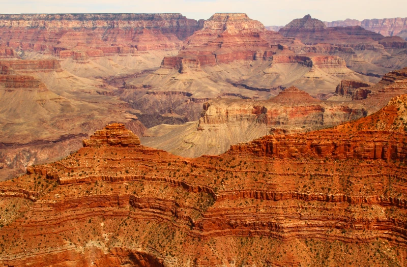 arizona mining company treeport mcmoran