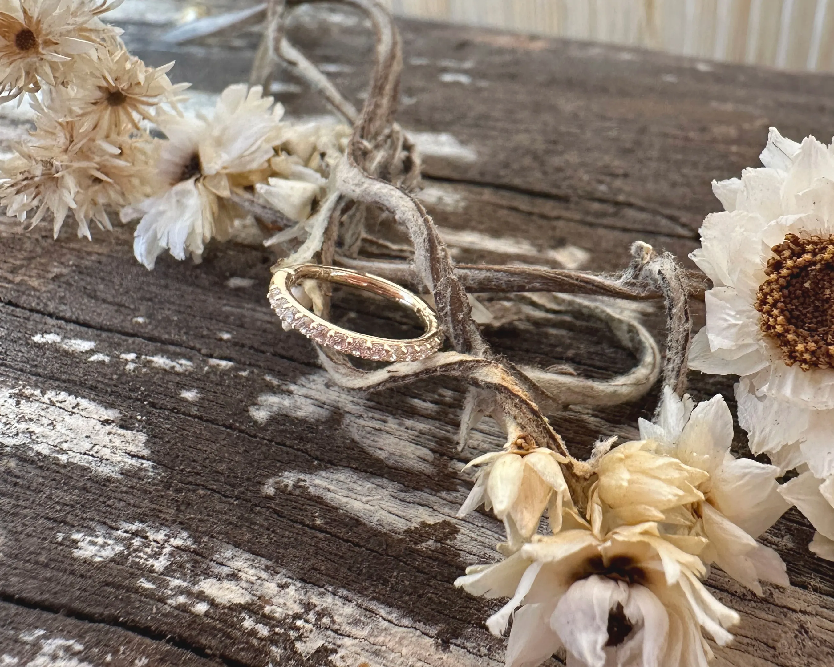 14k gold and cz huggie earring for body piercings nestled in dried flowers