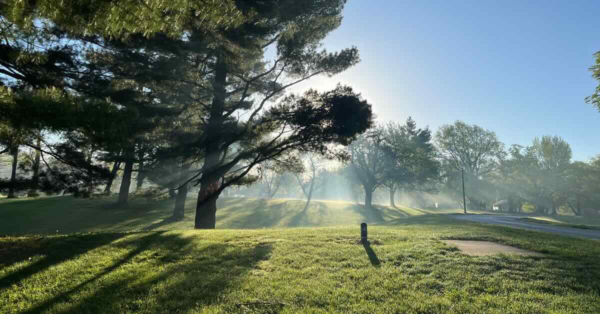 Light streams through a light mist onto a concrete disc golf tee pad in a park