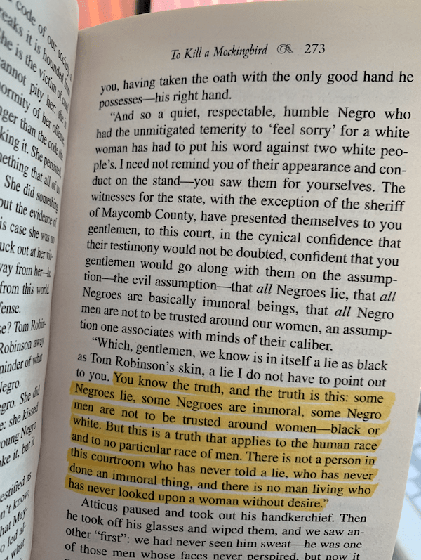 a page from To Kill A Mockingbird by Harper Lee