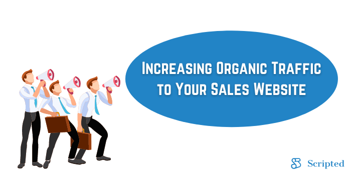 Increasing Organic Traffic to Your Sales Site