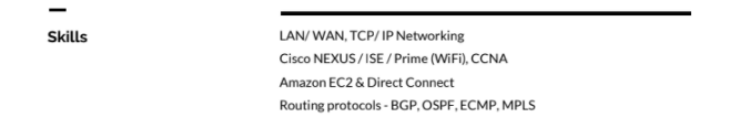 Network engineering resume skills