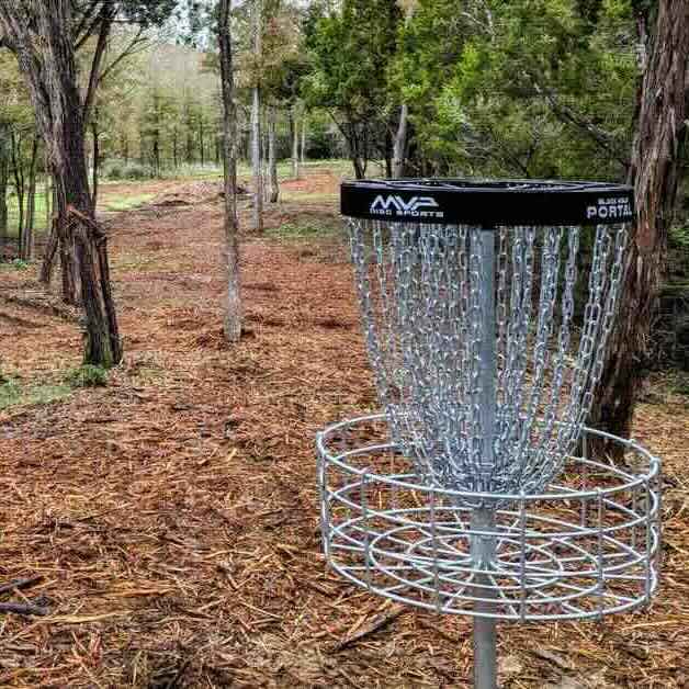 black-banded disc golf basket in newly-cut wooded area