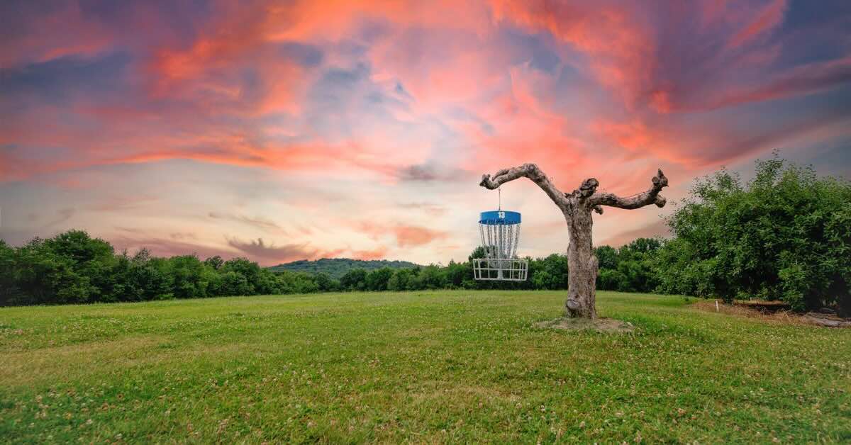 A disc golf basket with a blue band hangs from a tree stump in a mowed area with a beautiful pink and blue sky