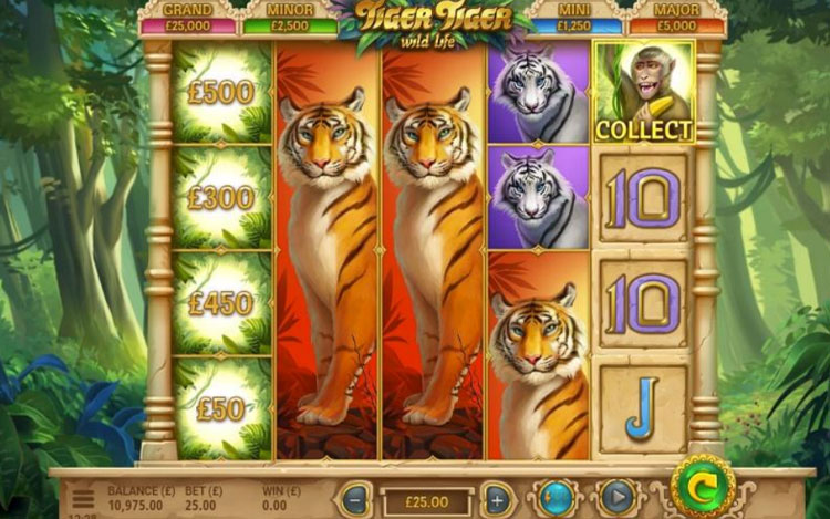 tiger-tiger-tiger-slot.jpg