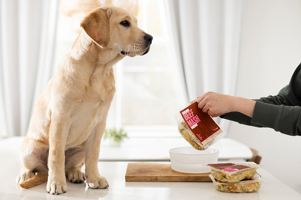 Fresh food for dogs, delivered - Nom Nom