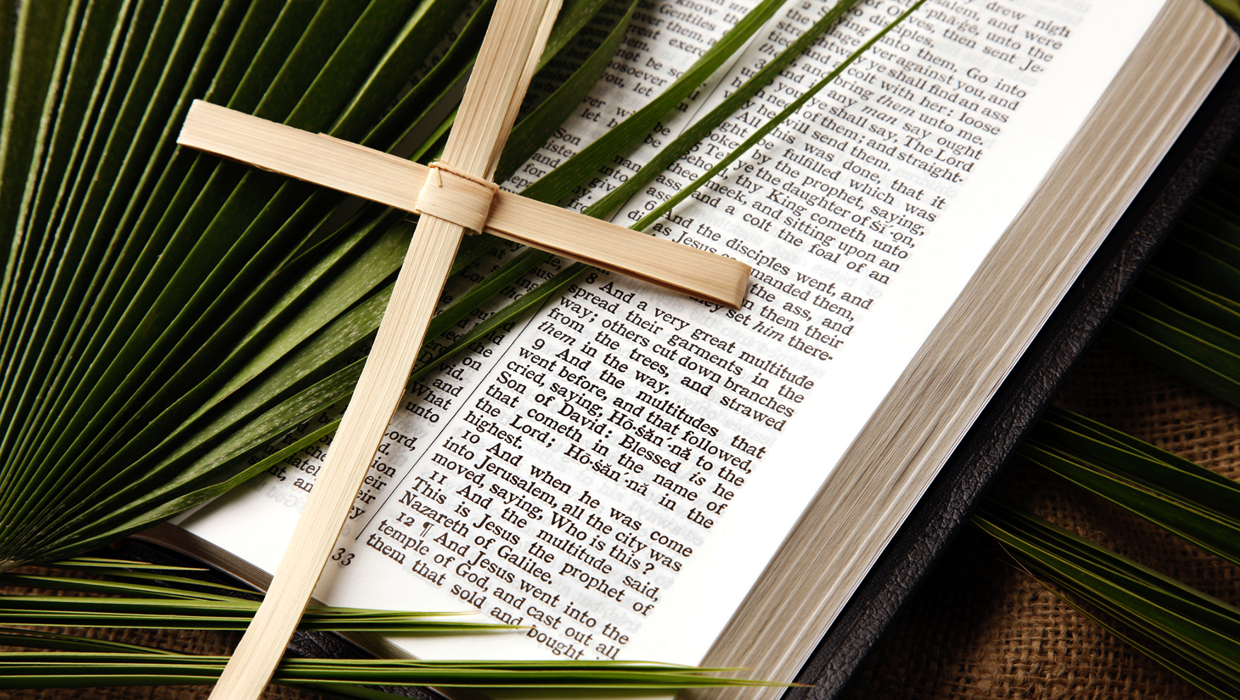 Palm Sunday 5 Ways to Help Your Kids Understand What Really Happened