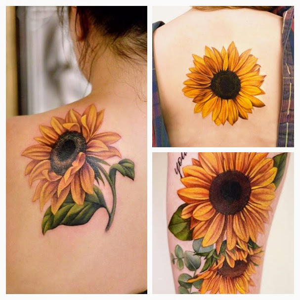 sunflower images