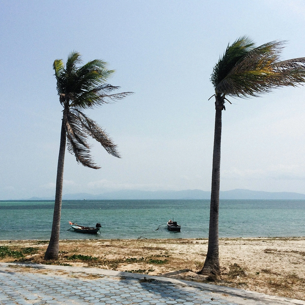 Storm winds blowing a storm onto a sunny beach with palm trees.