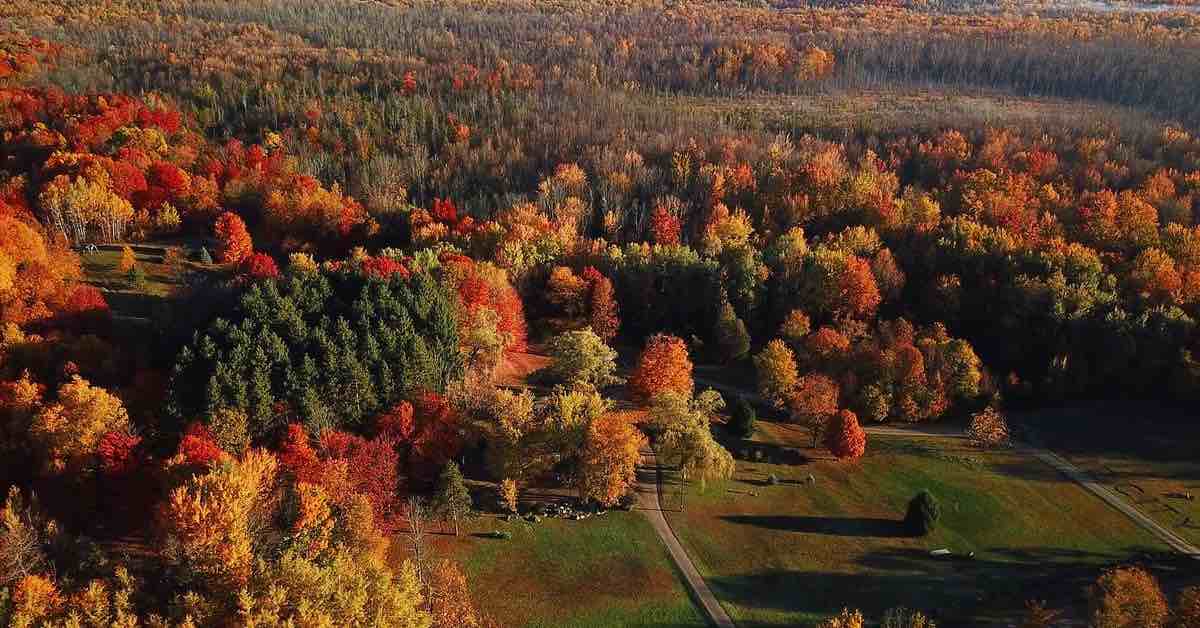 Aerial view of a mostly wooded area with many hardwoods in fall colors