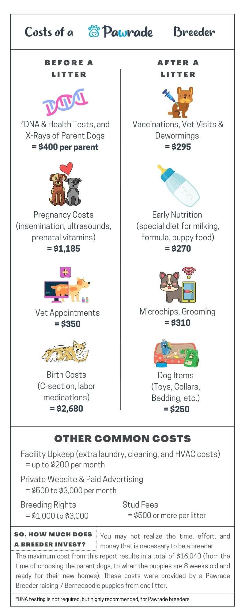 How Much Does It Cost To Be A Dog Breeder?