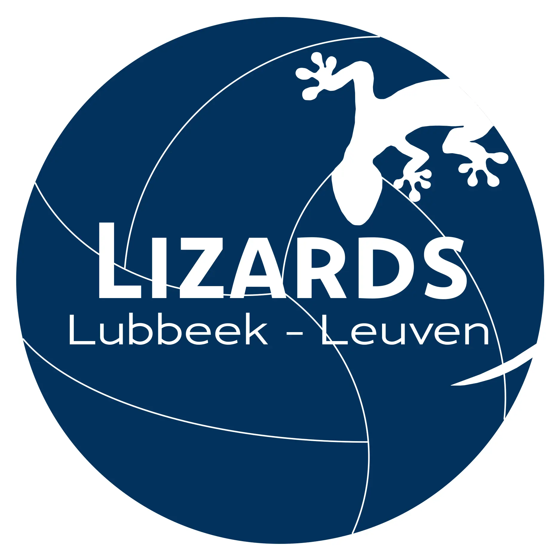 Leuven Beach Volleyball