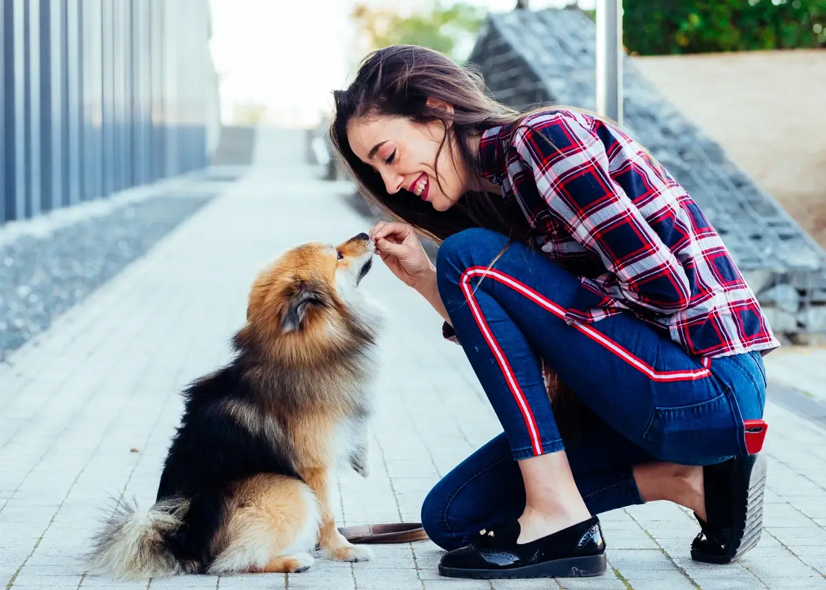 A woman crouches down to give a sitting dog a dog treat