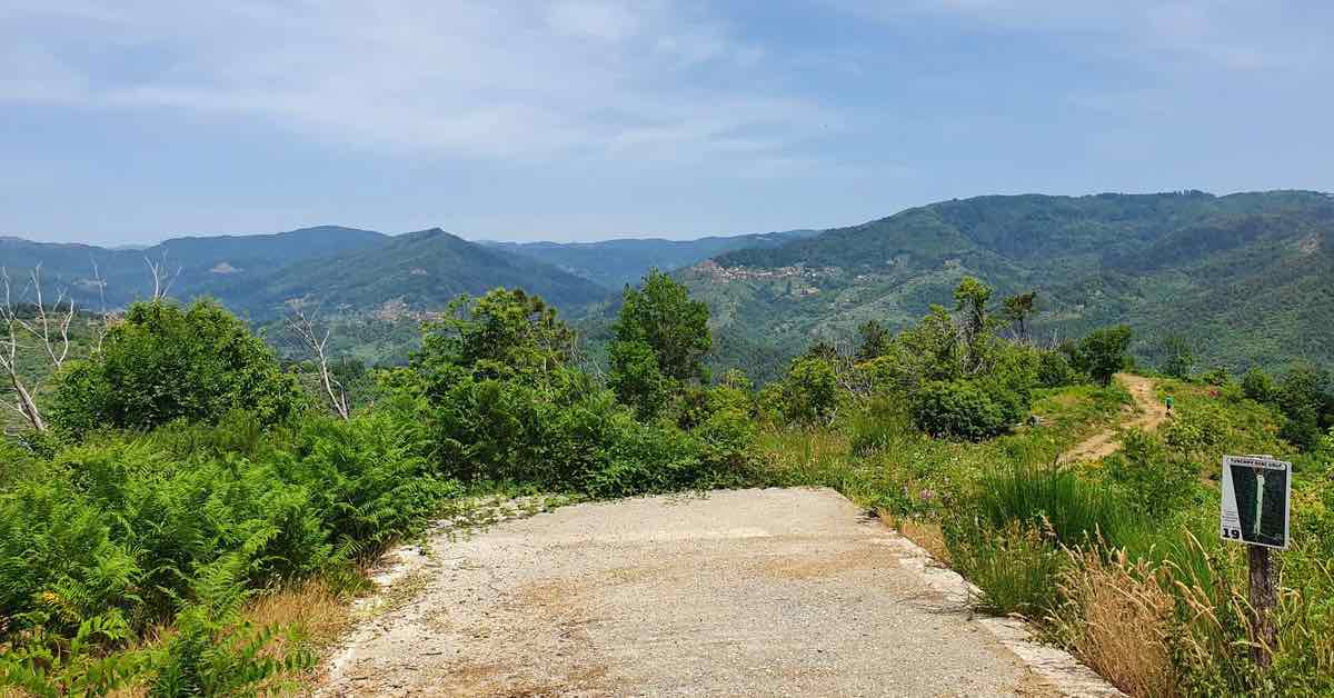 A concrete disc golf basket tee pad with a view of steep, tree-covered hills beyond