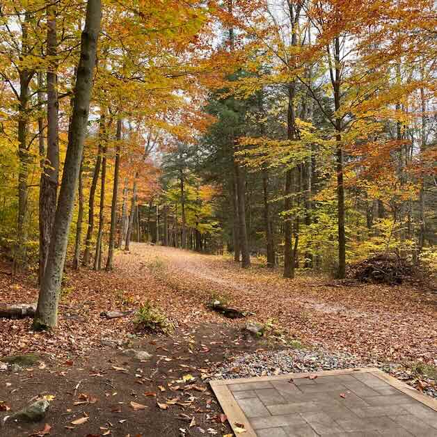 paver tee in wooded area