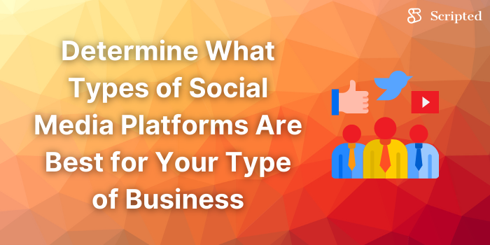 Determine What Types of Social Media Platforms Are Best for Your Type of Business