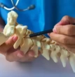 neurologista avaliando a coluna cervical, consulta de Neurologia